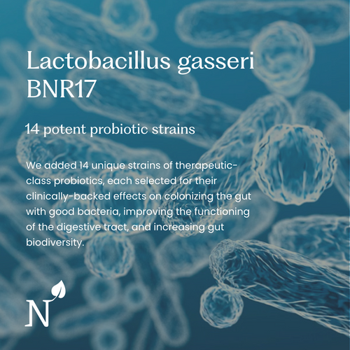 Synbiotic 365®