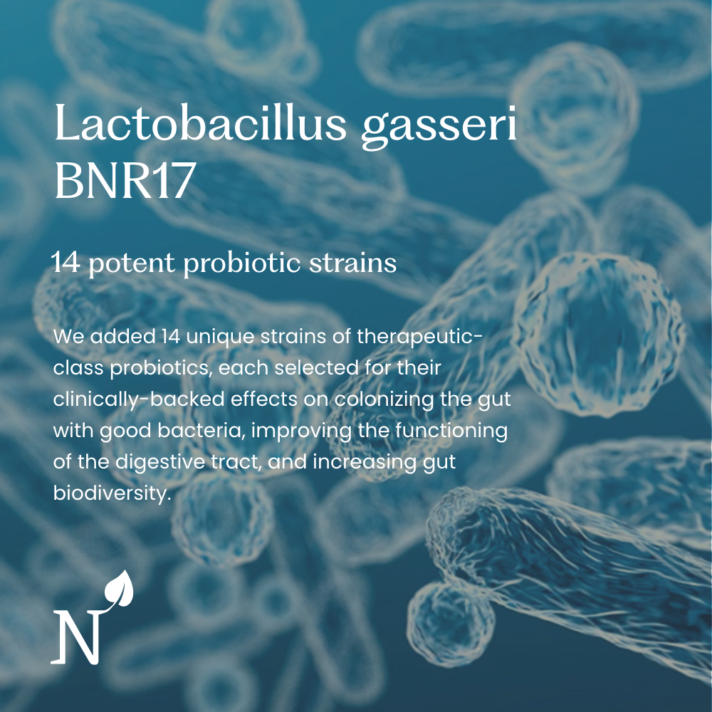 Synbiotic 365®