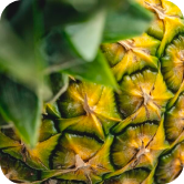 Pineapple Bromelain - (Ananas comosus)