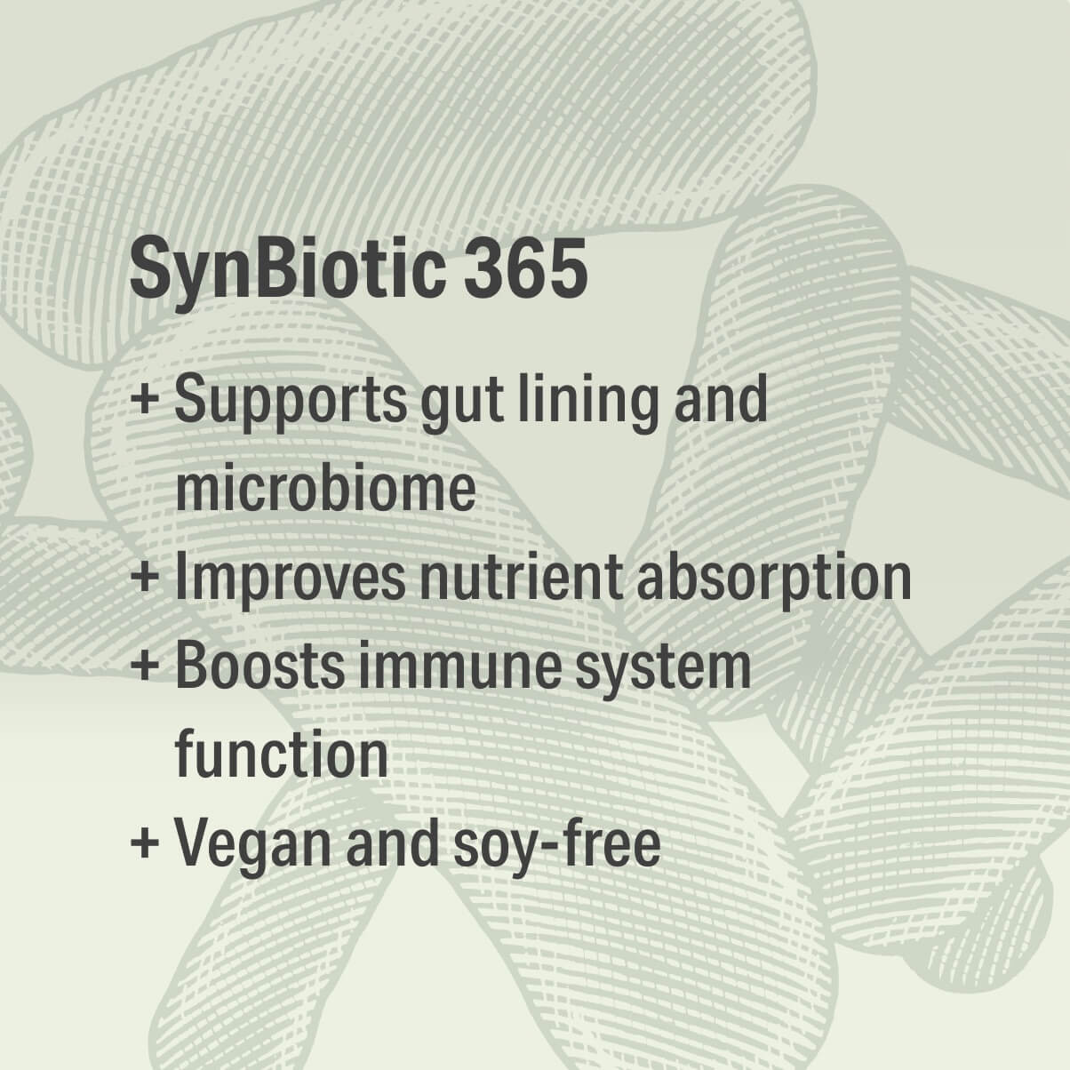 Synbiotic 365® 2 Pack - Plan – Nature M.D.